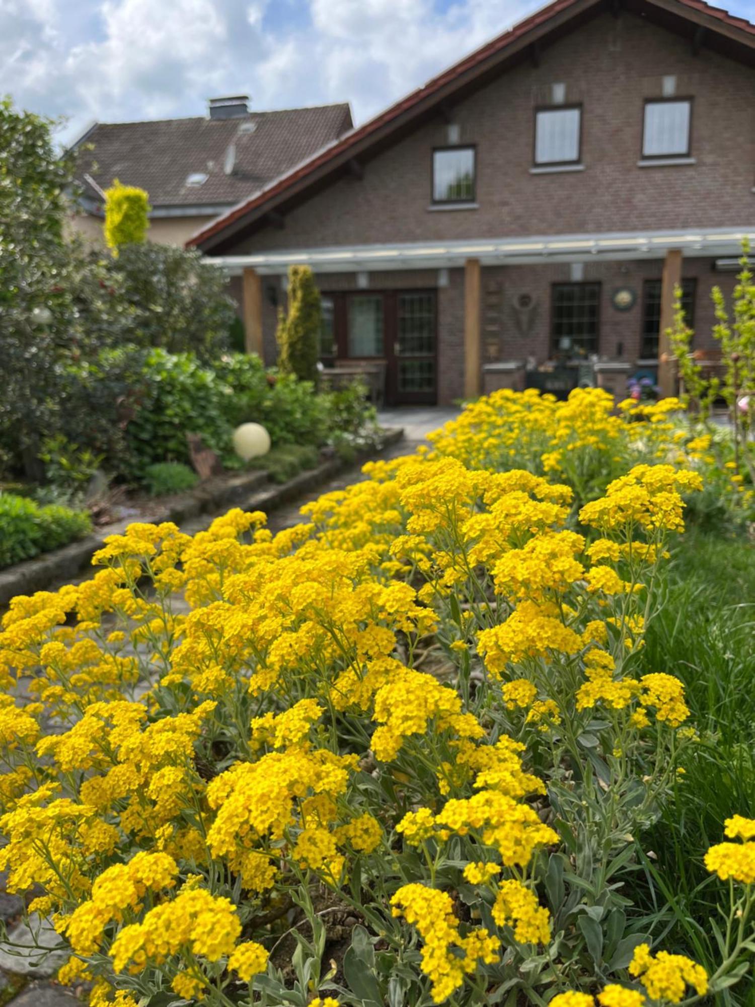 Ferienwohnung Jansen Selfkant Extérieur photo
